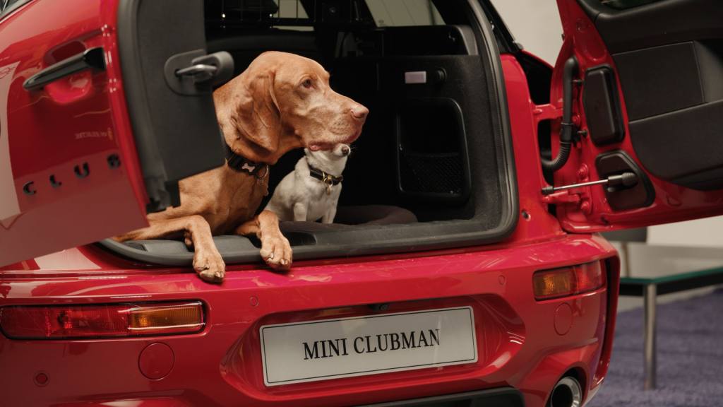 Mini Pet, Grupo BMW