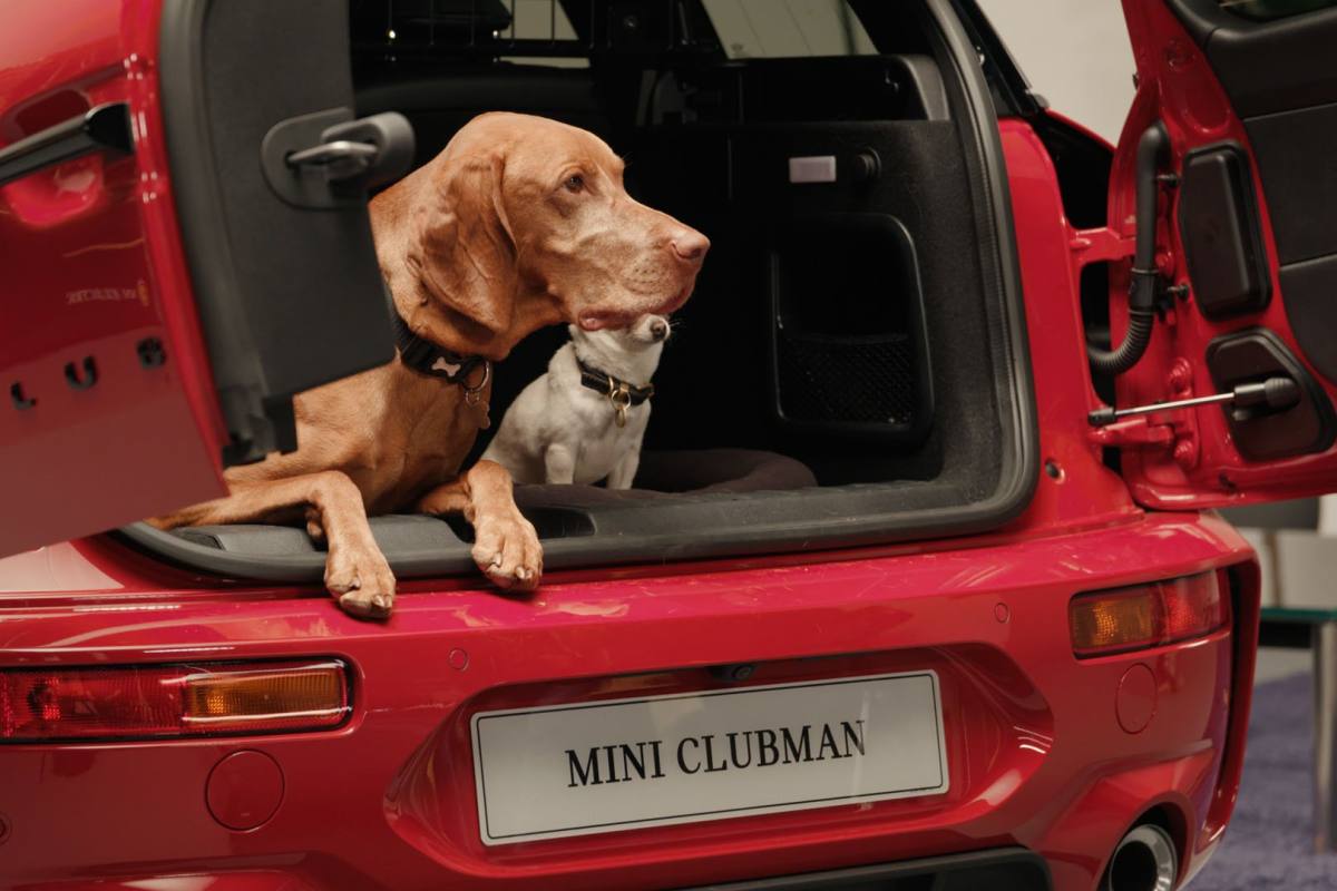Mini Pet ,Grupo BMW